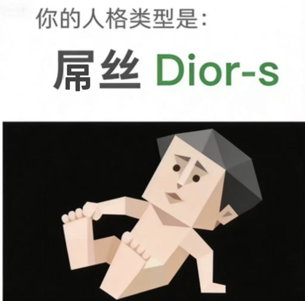 Dior-s（屌丝）